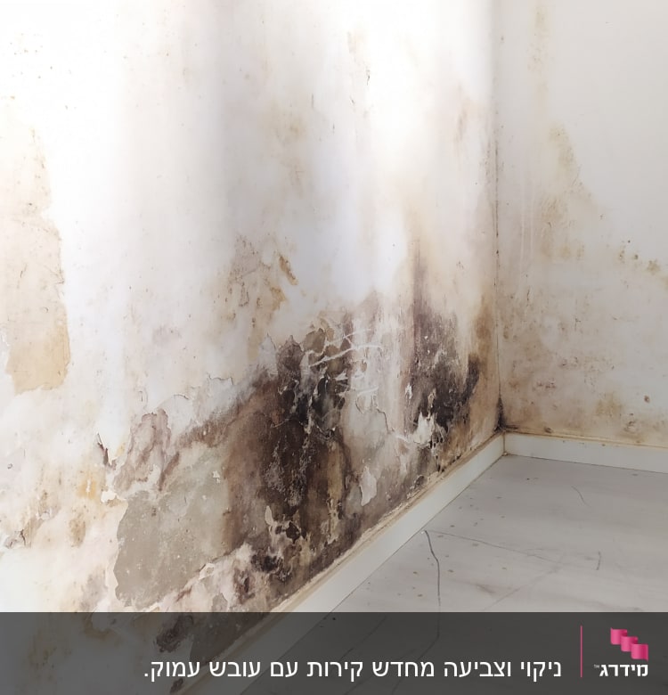 קיר עם כתמי רטיבות ועובש בפינה